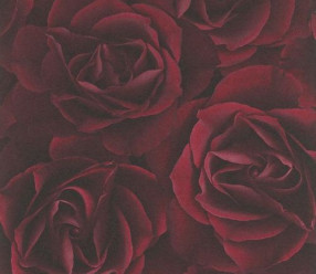 Обои Rasch Crispy Paper 525625