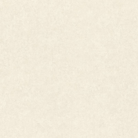 Обои Rasch Trend 974607